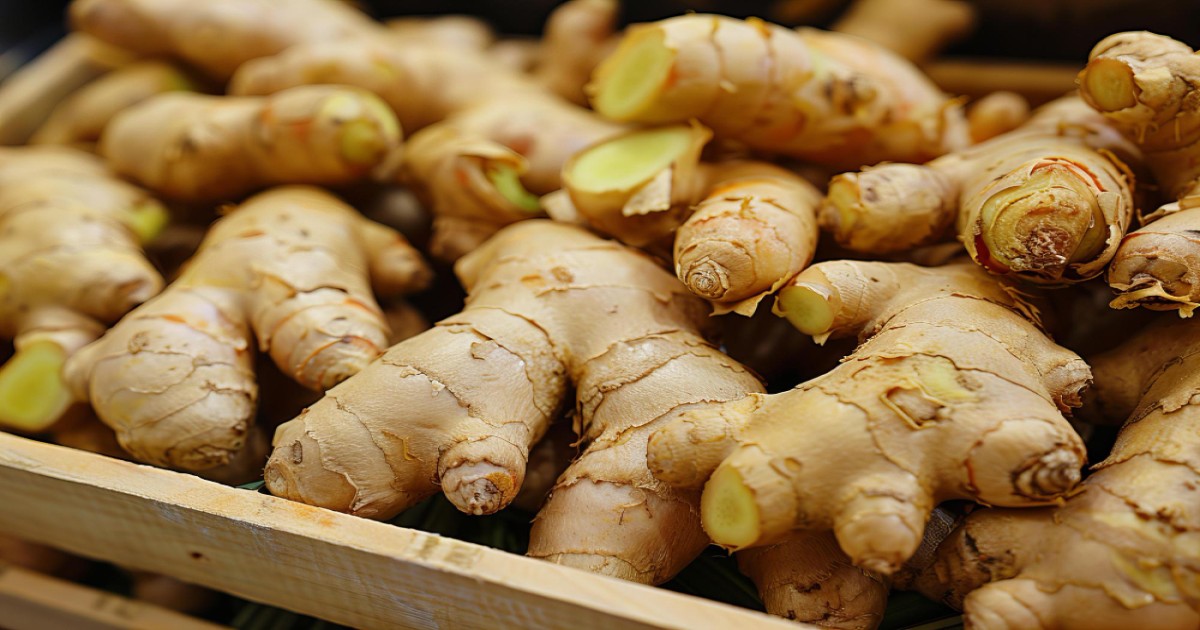 Ginger Market Price in Gujarat